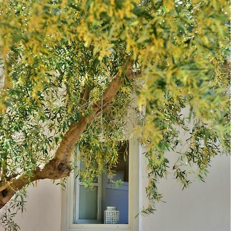 Douskos Beach House Apartment Хидра Екстериор снимка